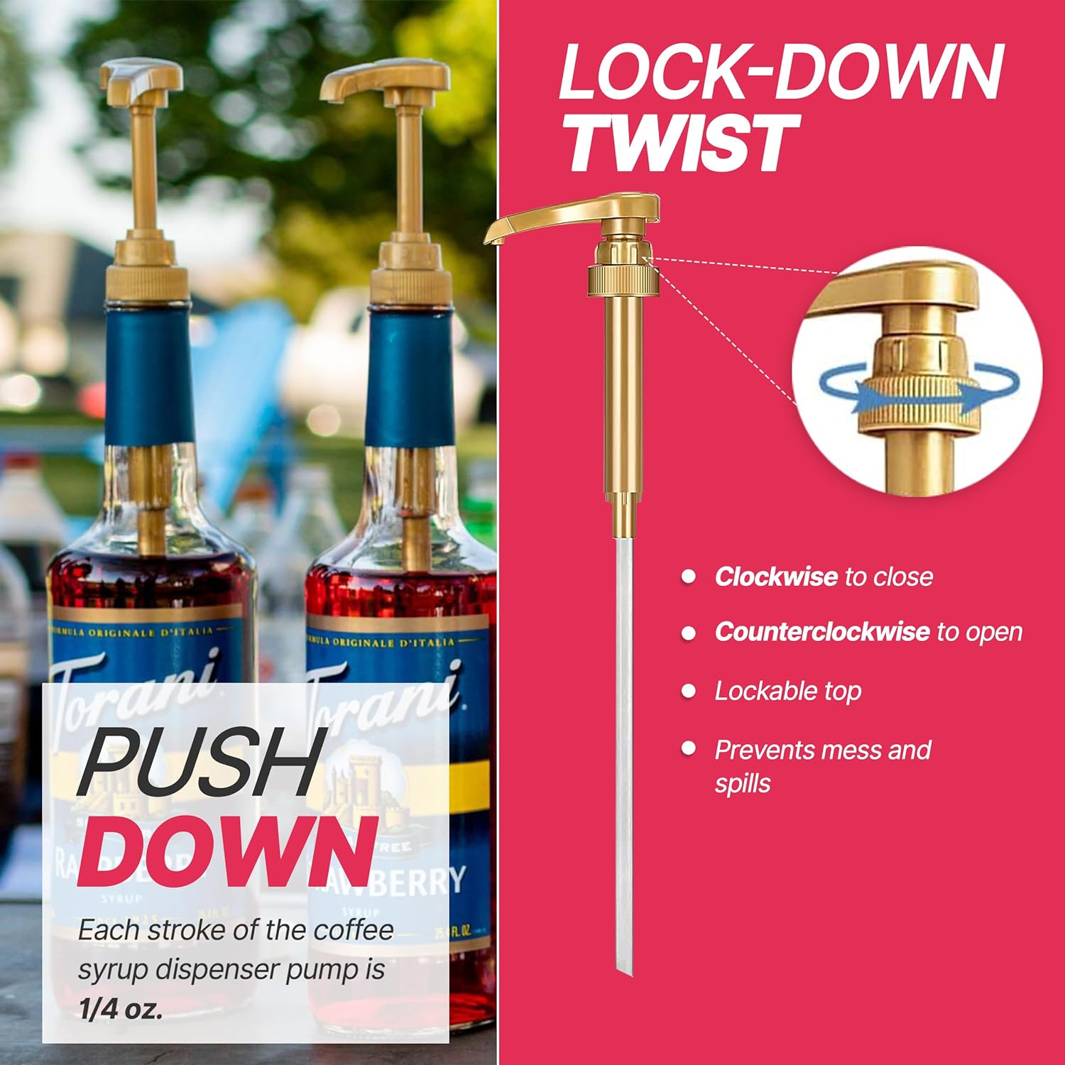 81LNzSVa3HL._AC_SL1500_ (3)