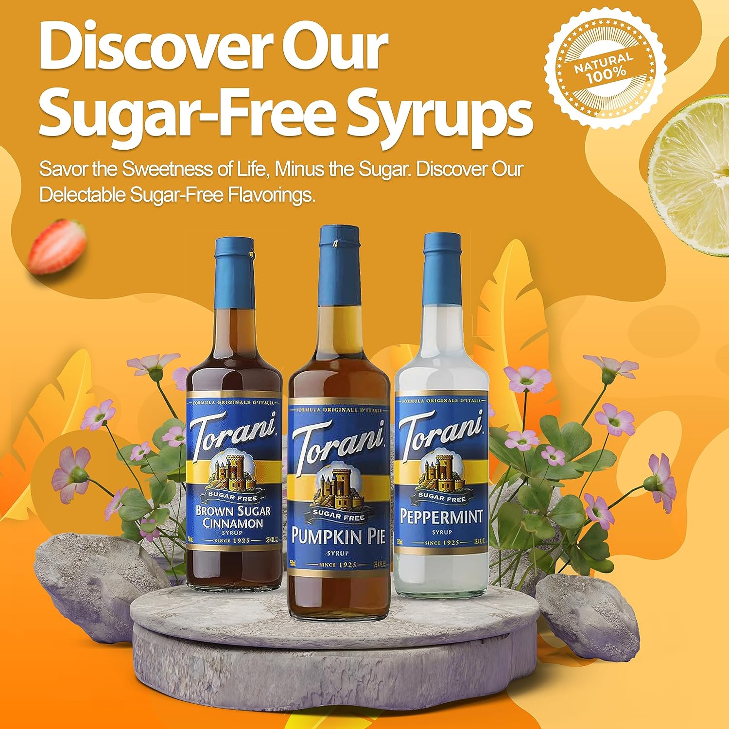 91vfkHb-NjL._SL1500_