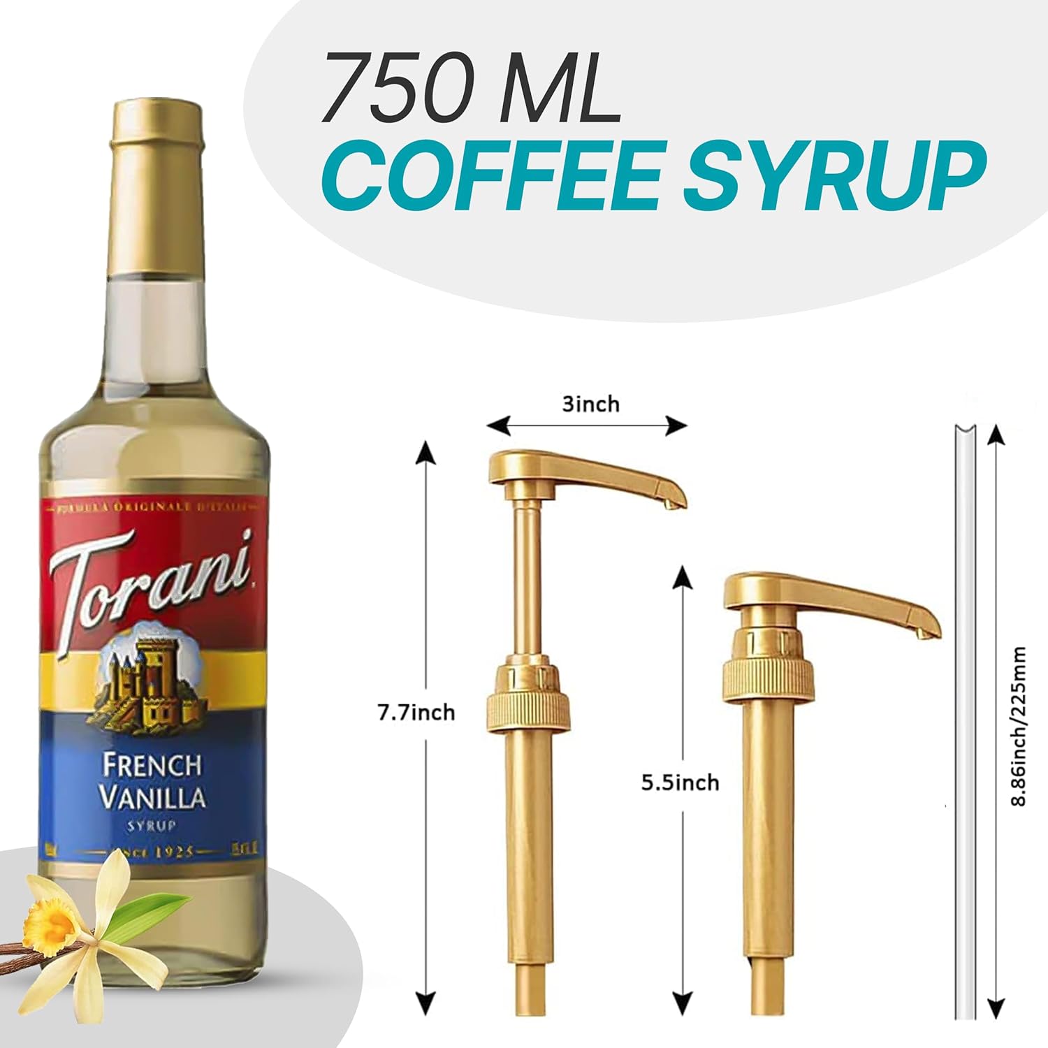 Torani Coffee Syrup Variety Pack - French Vanilla & Classic Hazelnut Syrup for Coffee with 2 Jimoco Syrup Pump Dispenser Compatible with Torani Syrup 25.4 Ounces