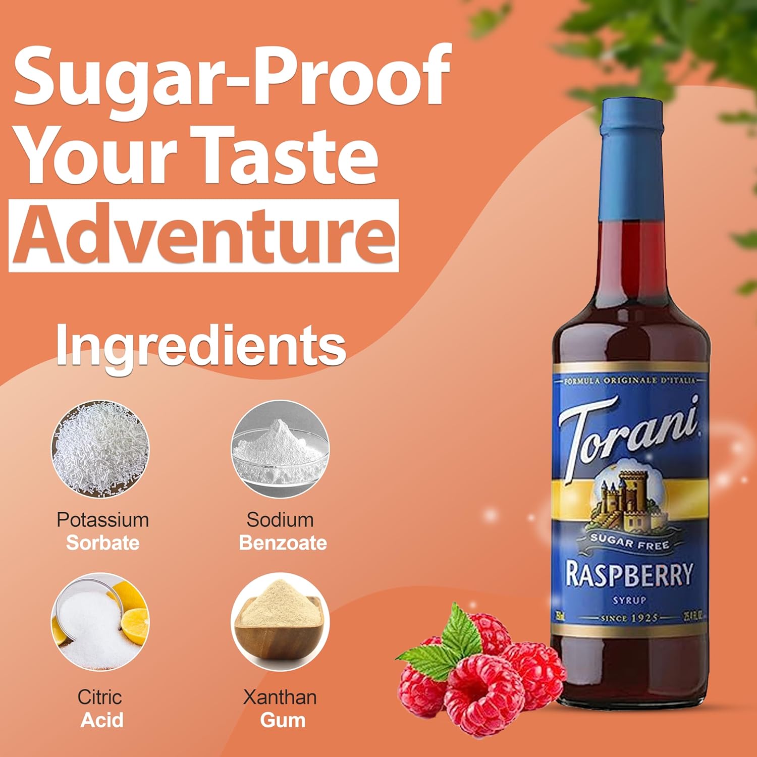 Torani Coffee and Tea Syrup Variety Pack - Sugar Free Raspberry & Peach Syrup for Coffee with 2 Jimoco Syrup Pump Dispenser Compatible with Torani Syrup - Flavoring For Coffe, Soda, Frappes, Lattes