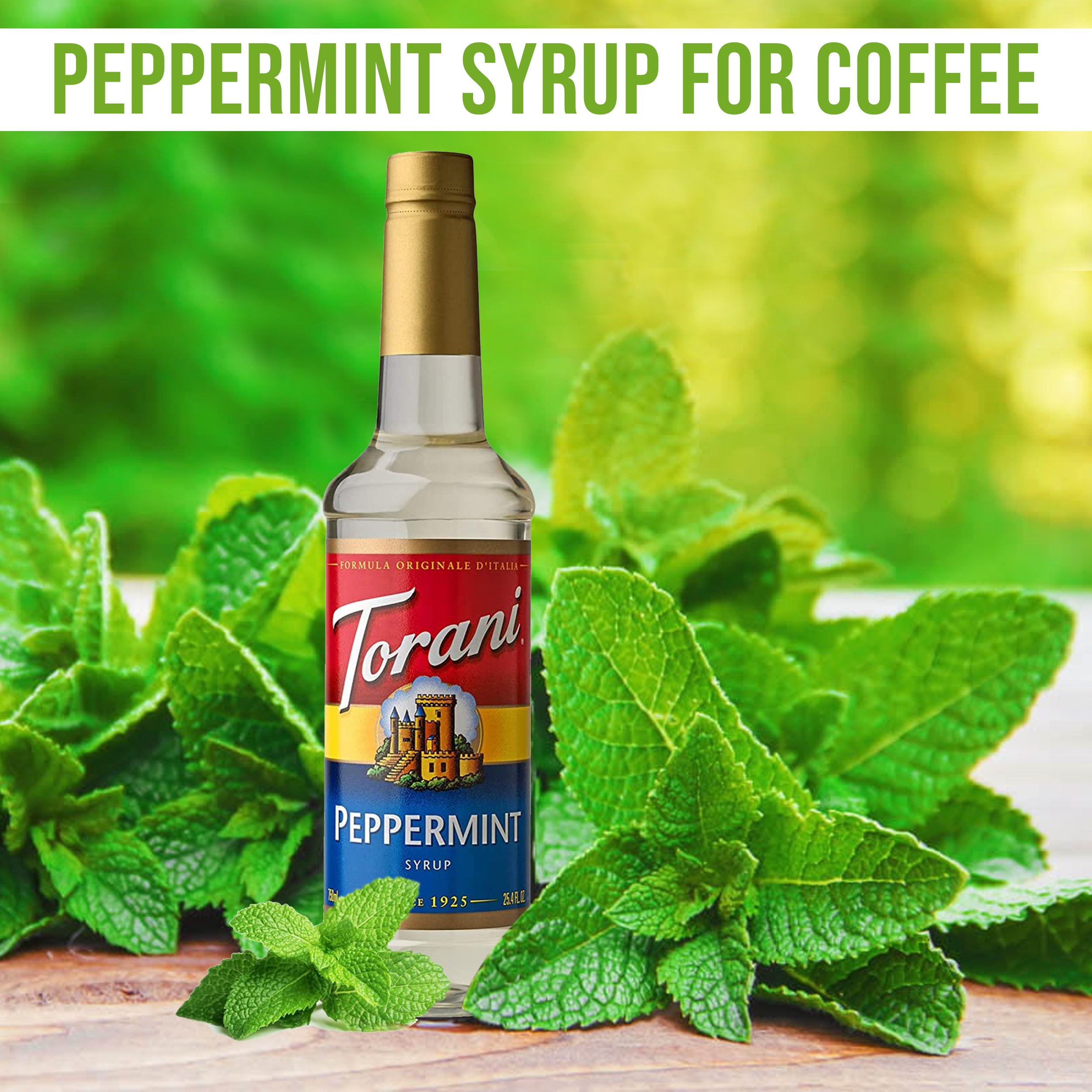 French Vanilla Syrup for Coffee 25.4 Ounces Coffee Syrups and Flavors with Jimoco Pump Syrup Dispenser